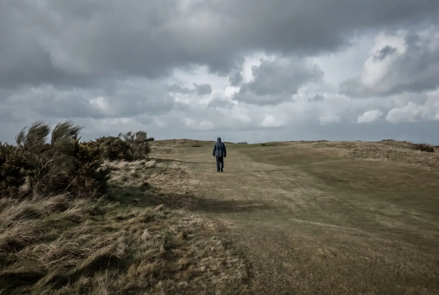 A golfer walking a wide open fairway on the back nine under a heavy sky, gorse bent by the wind