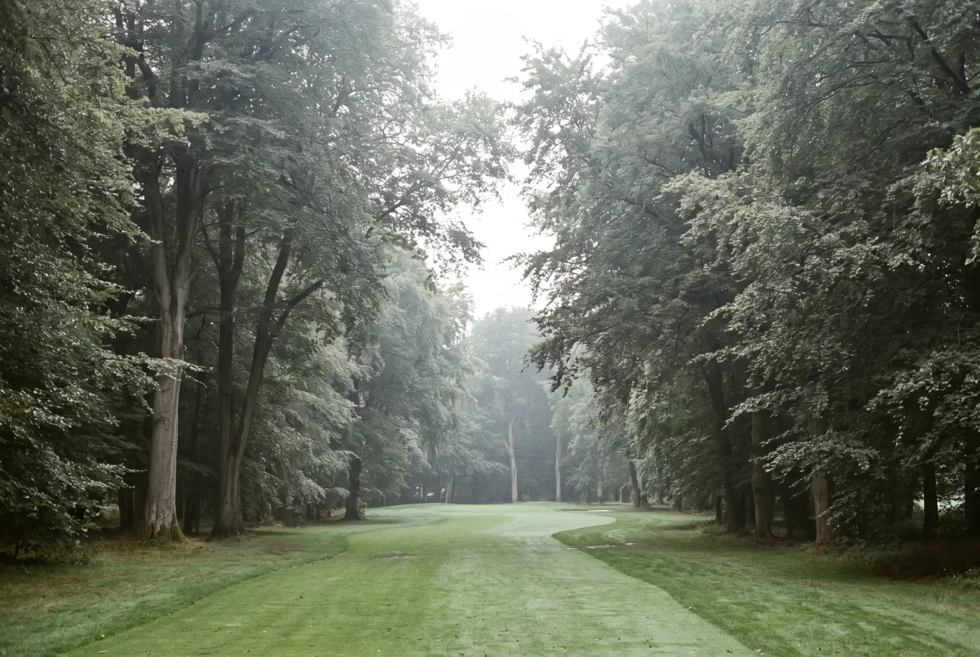 A tree-lined parkland fairway on the front nine, a dry stone wall running along the left rough