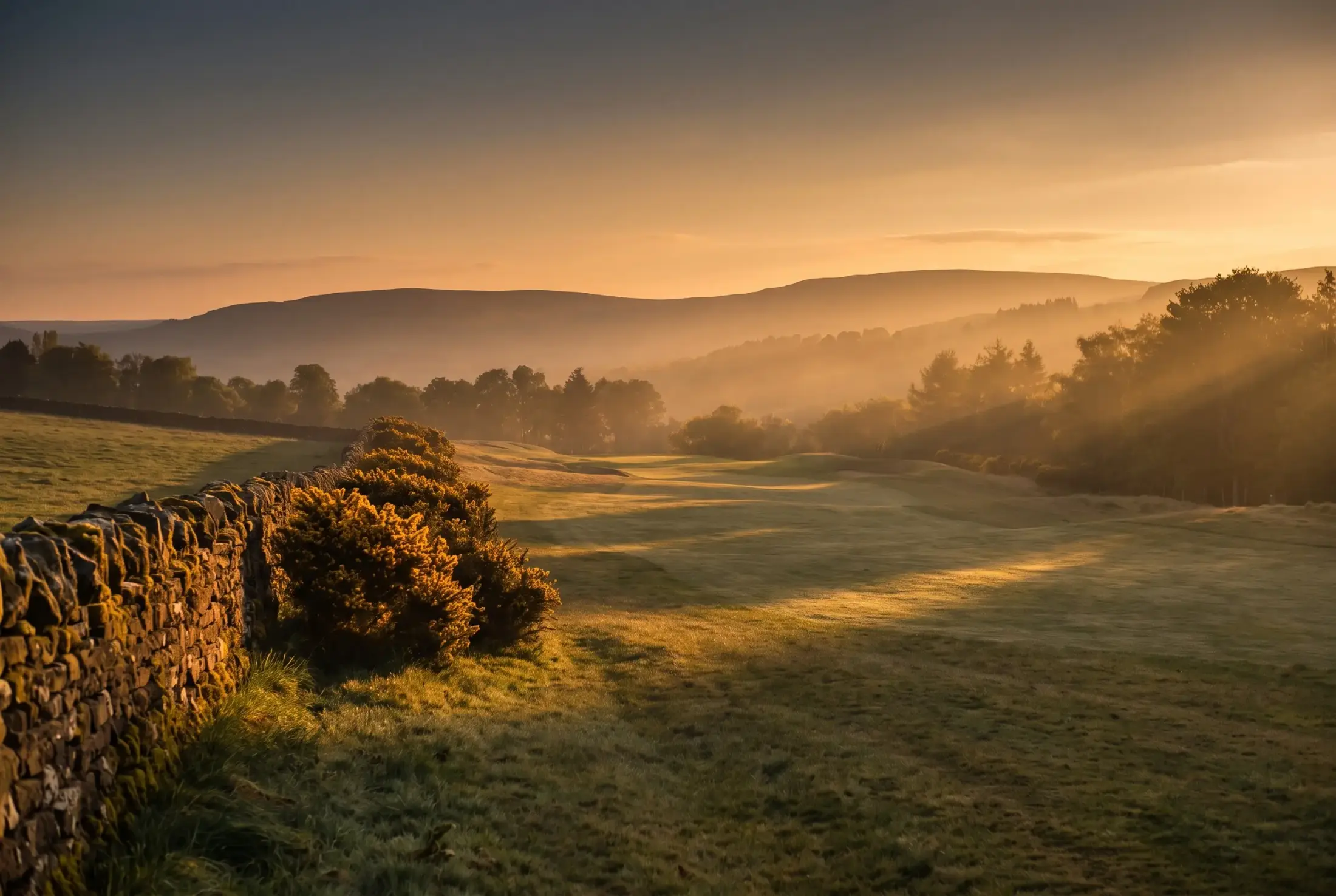 Long shadows crossing the ninth green as the afternoon light goes gold